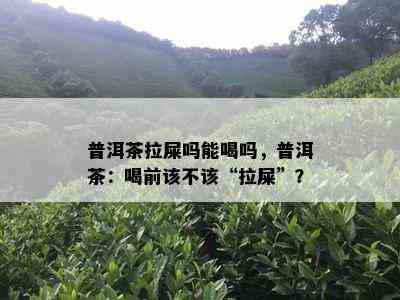 普洱茶拉屎吗能喝吗，普洱茶：喝前该不该“拉屎”？