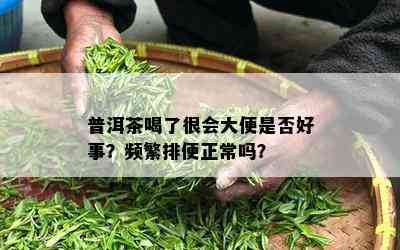 普洱茶喝了很会大便是否好事？频繁排便正常吗？