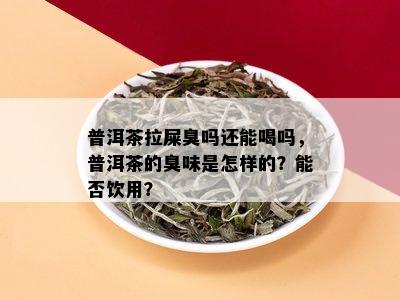 普洱茶拉屎臭吗还能喝吗，普洱茶的臭味是怎样的？能否饮用？