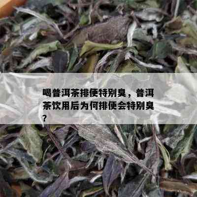 喝普洱茶排便特别臭，普洱茶饮用后为何排便会特别臭？