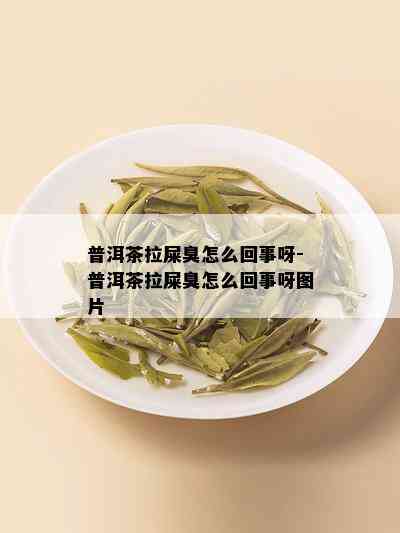 普洱茶拉屎臭怎么回事呀-普洱茶拉屎臭怎么回事呀图片