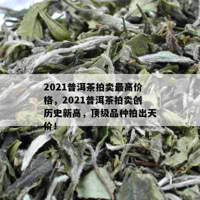 2021普洱茶拍卖更高价格，2021普洱茶拍卖创历史新高，顶级品种拍出天价！