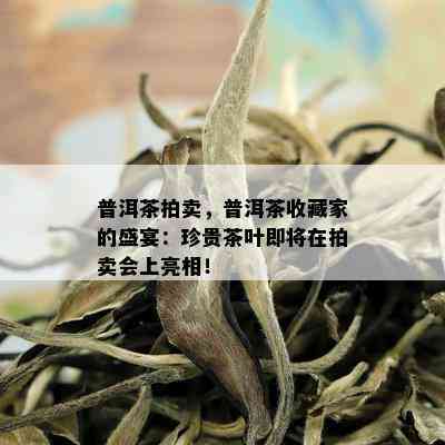 普洱茶拍卖，普洱茶收藏家的盛宴：珍贵茶叶即将在拍卖会上亮相！