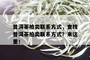 普洱茶拍卖联系方式，查找普洱茶拍卖联系方式？来这里！