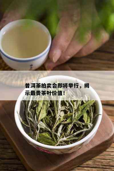 普洱茶拍卖会即将举行，揭示最贵茶叶价值！