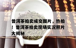 普洱茶拍卖成交图片，热拍！普洱茶拍卖现场实况照片大揭秘