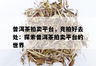 普洱茶拍卖平台，竞拍好去处：探索普洱茶拍卖平台的世界