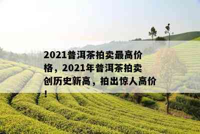 2021普洱茶拍卖更高价格，2021年普洱茶拍卖创历史新高，拍出惊人高价！