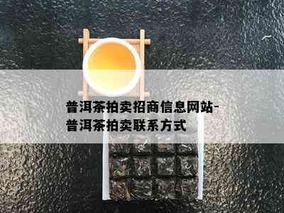 普洱茶拍卖招商信息网站-普洱茶拍卖联系方式