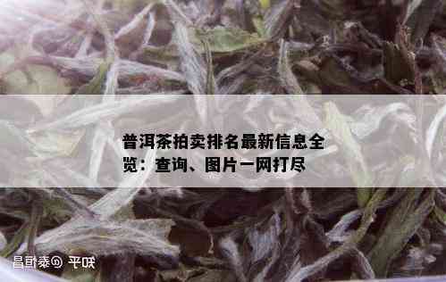 普洱茶拍卖排名最新信息全览：查询、图片一网打尽