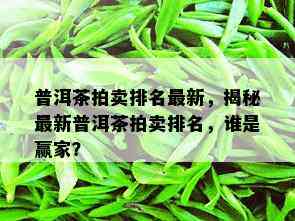 普洱茶拍卖排名最新，揭秘最新普洱茶拍卖排名，谁是赢家？