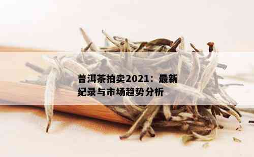 普洱茶拍卖2021：最新纪录与市场趋势分析