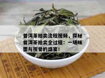 普洱茶拍卖流程视频，探秘普洱茶拍卖全过程：一场味蕾与视觉的盛宴！