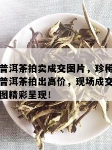 普洱茶拍卖成交图片，珍稀普洱茶拍出高价，现场成交图精彩呈现！