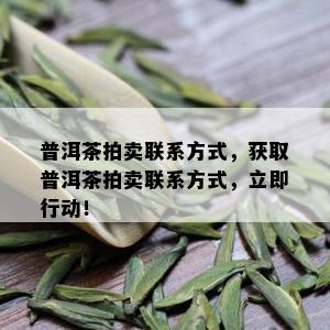 普洱茶拍卖联系方式，获取普洱茶拍卖联系方式，立即行动！