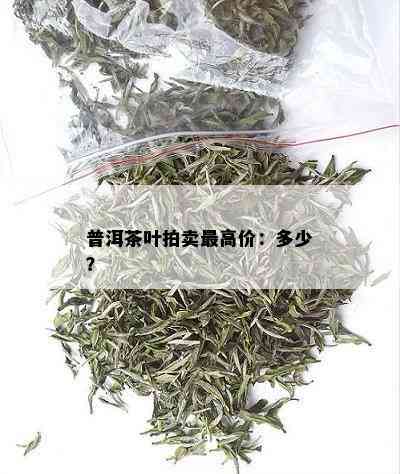 普洱茶叶拍卖更高价：多少？