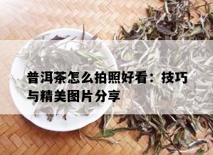 普洱茶怎么拍照好看：技巧与精美图片分享