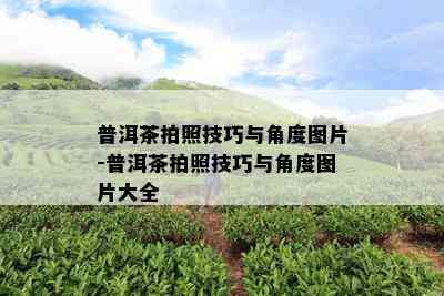 普洱茶拍照技巧与角度图片-普洱茶拍照技巧与角度图片大全