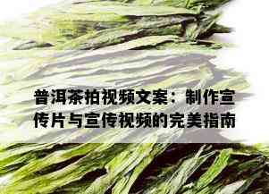 普洱茶拍视频文案：制作宣传片与宣传视频的完美指南