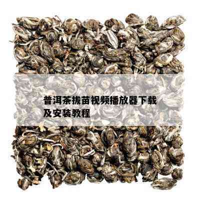 普洱茶拔苗视频播放器下载及安装教程