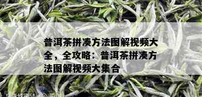 普洱茶拼凑方法图解视频大全，全攻略：普洱茶拼凑方法图解视频大集合