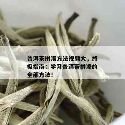 普洱茶拼凑方法视频大，终极指南：学习普洱茶拼凑的全部方法！