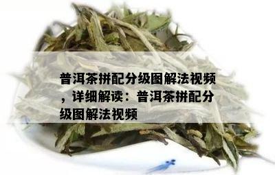 普洱茶拼配分级图解法视频，详细解读：普洱茶拼配分级图解法视频