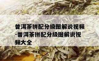 普洱茶拼配分级图解说视频-普洱茶拼配分级图解说视频大全