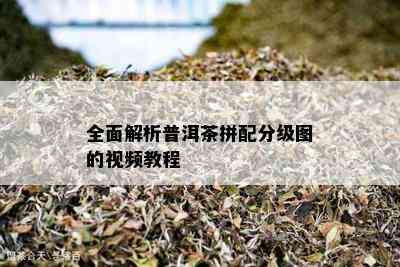 全面解析普洱茶拼配分级图的视频教程