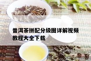 普洱茶拼配分级图详解视频教程大全下载