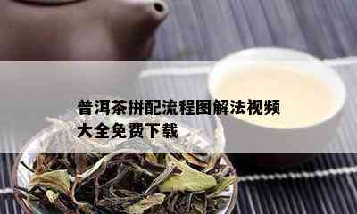 普洱茶拼配流程图解法视频大全免费下载