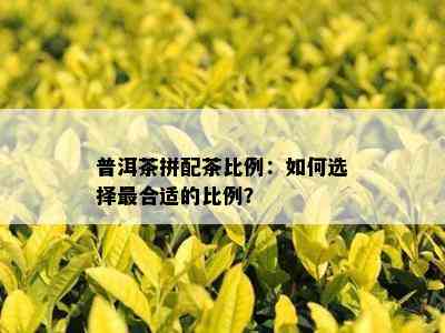 普洱茶拼配茶比例：如何选择最合适的比例？