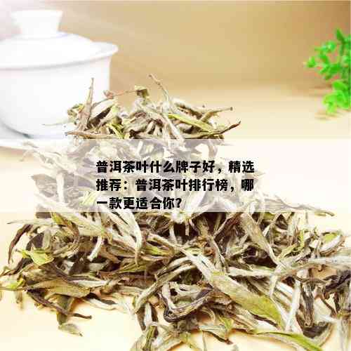 普洱茶叶什么牌子好，精选推荐：普洱茶叶排行榜，哪一款更适合你？