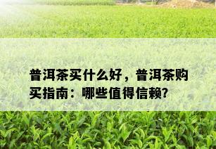 普洱茶买什么好，普洱茶购买指南：哪些值得信赖？