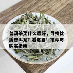 普洱茶买什么更好，寻找优质普洱茶？看这里！推荐与购买指南