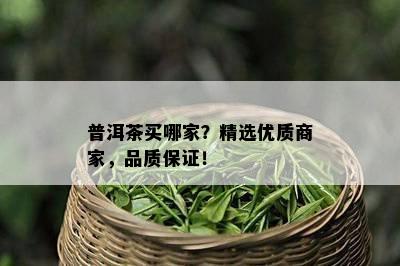 普洱茶买哪家？精选优质商家，品质保证！