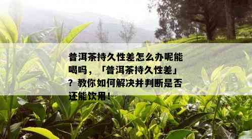 普洱茶持久性差怎么办呢能喝吗，「普洱茶持久性差」？教你如何解决并判断是否还能饮用！