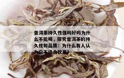 普洱茶持久性强吗好吗为什么不能喝，探究普洱茶的持久性和品质：为什么有人认为它不适合饮用？