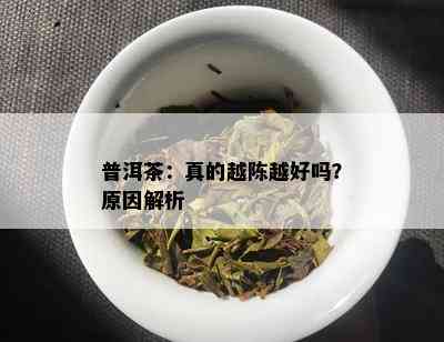 普洱茶：真的越陈越好吗？原因解析