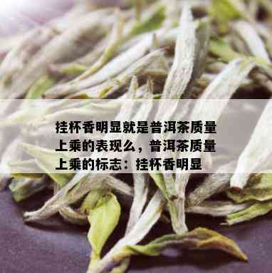 挂杯香明显就是普洱茶质量上乘的表现么，普洱茶质量上乘的标志：挂杯香明显