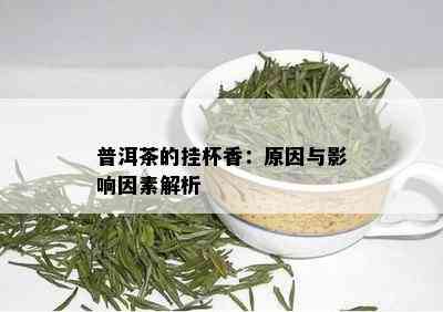 普洱茶的挂杯香：原因与影响因素解析