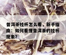 普洱茶挂杯怎么看，新手指南：如何看懂普洱茶的挂杯现象？