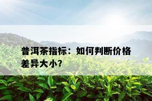 普洱茶指标：如何判断价格差异大小？