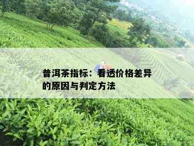 普洱茶指标：看透价格差异的原因与判定方法