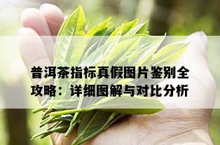 普洱茶指标真假图片鉴别全攻略：详细图解与对比分析