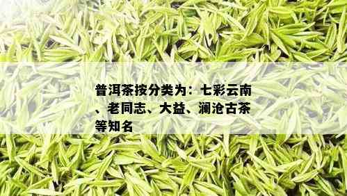 普洱茶按分类为：七彩云南、老同志、大益、澜沧古茶等知名