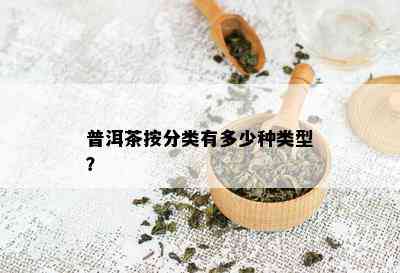 普洱茶按分类有多少种类型？