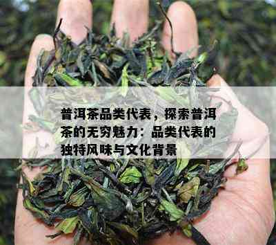 普洱茶品类代表，探索普洱茶的无穷魅力：品类代表的独特风味与文化背景