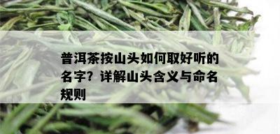 普洱茶按山头如何取好听的名字？详解山头含义与命名规则