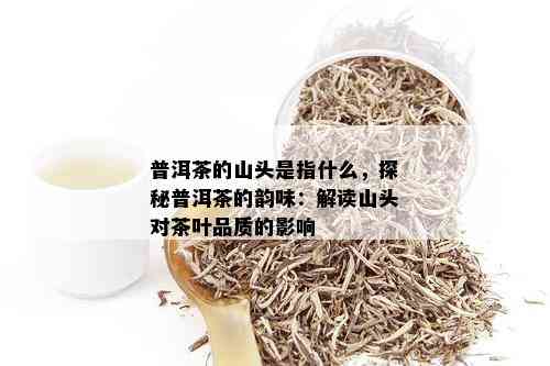 普洱茶的山头是指什么，探秘普洱茶的韵味：解读山头对茶叶品质的影响